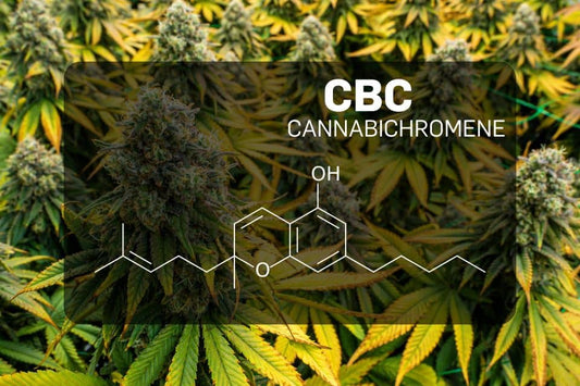 Cannabicromeno (CBC)