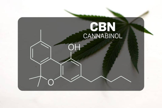 Estructura química del cannabinol