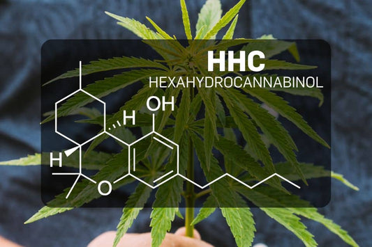 Estructura química del HHC (hexahidrocannabinol)