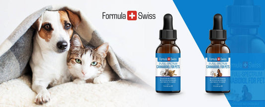Nueva línea de CBD con aceite de cáñamo para mascotas
