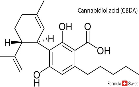  Estructura molecular del CBD