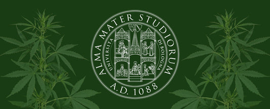 Colaboración de investigación con la Universidad de Bolonia