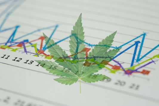 Cannabis medicinal: Auge mundial e impacto