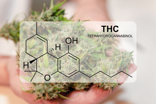 ¿Qué es el THC (tetrahidrocannabinol)?