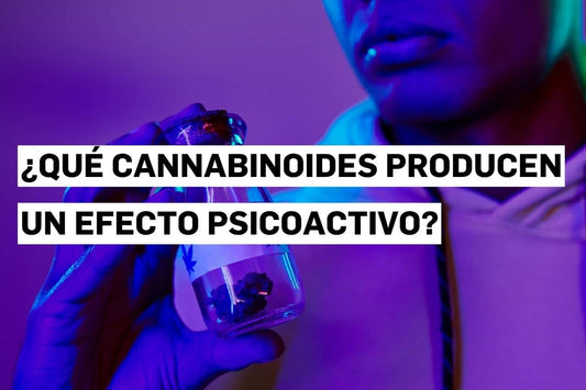 ¿Qué cannabinoides producen un efecto psicoactivo?