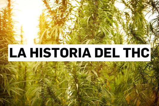 La historia del THC