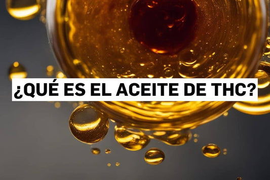 ¿Qué es el aceite de THC?