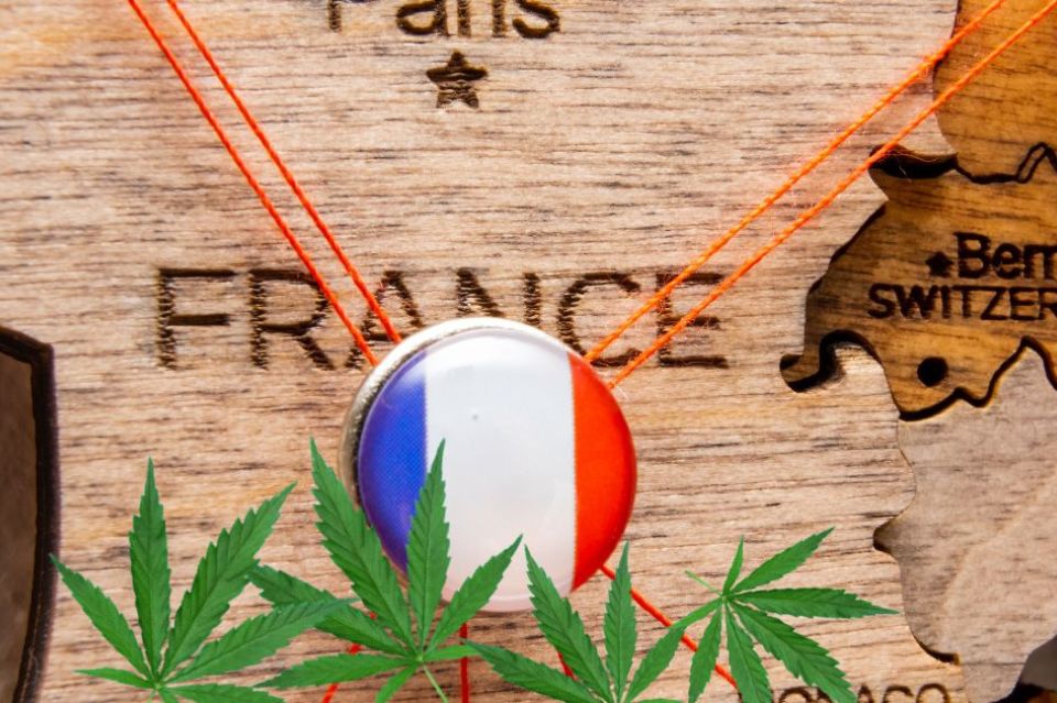 Bandera francesa con hojas de cannabis