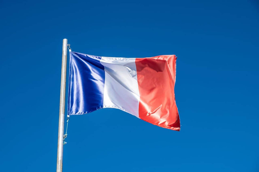 Bandera de Francia ondeando