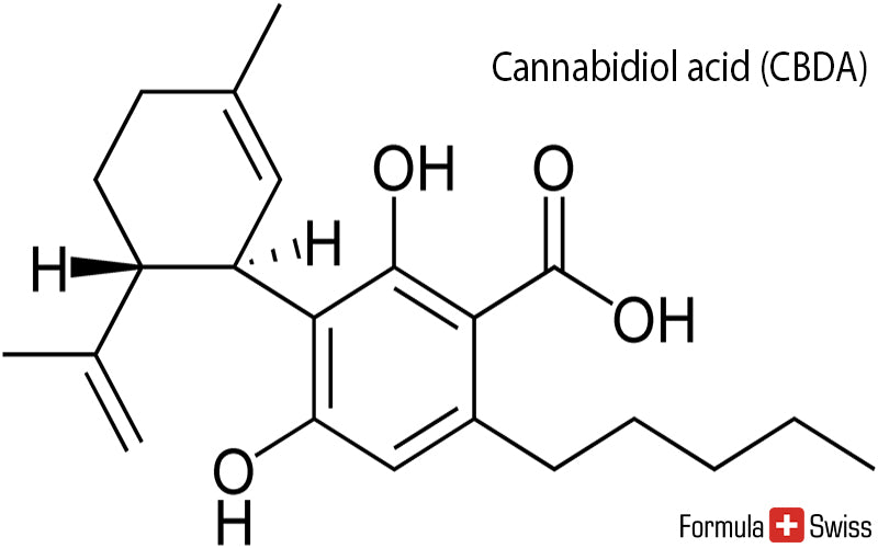 CBDV - Cannabidivarina