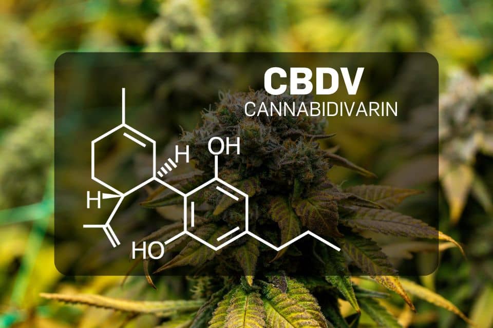 Estructura química de la cannabidivarina (CBDV)