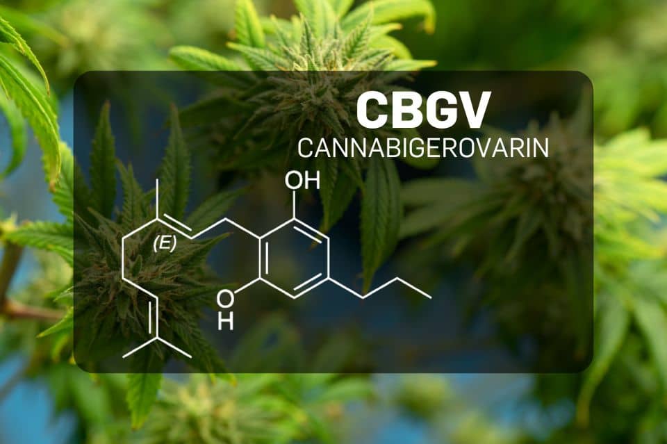 Estructura química de la cannabigerivarina (CBGV)