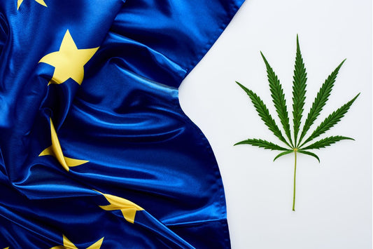 Prevalencia del cannabis en Europa