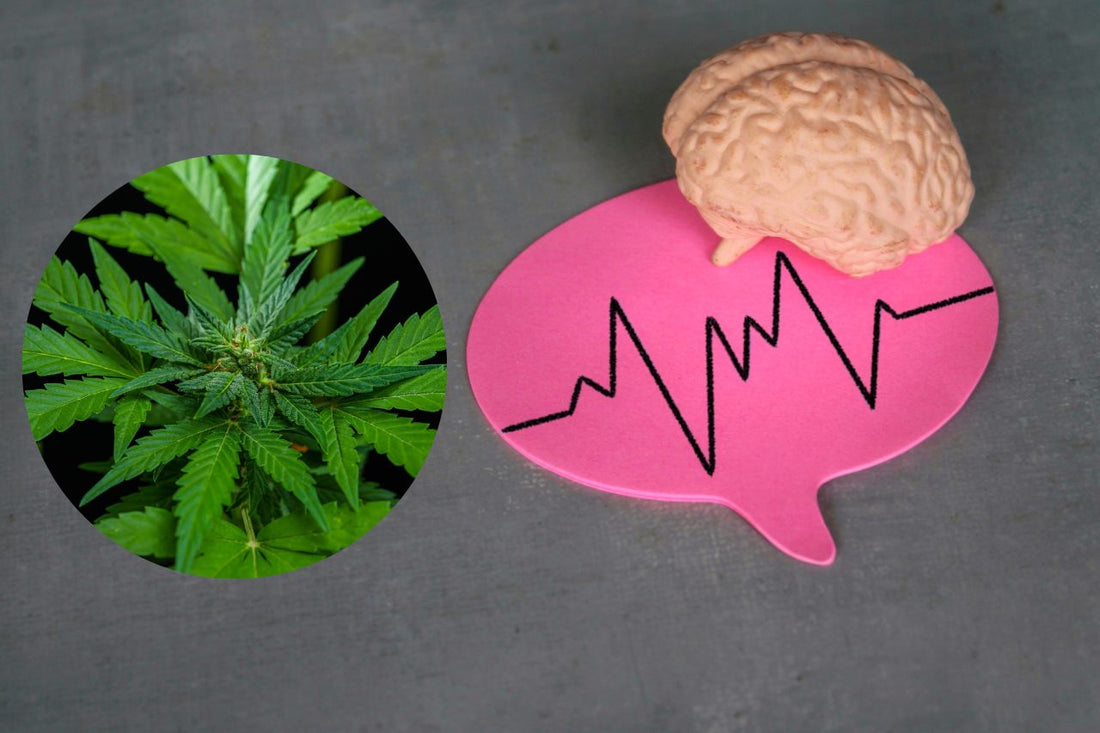 Cannabis para el tratamiento neurológico
