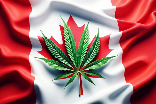 Hoja de cannabis delante de la bandera canadiense
