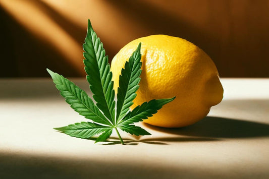 Un limón y una hoja de cannabis