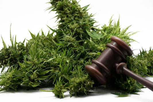 Comparación de las leyes sobre cannabis 