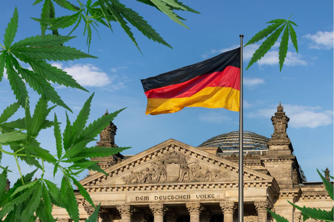 Hoja de cannabis frente al Reichstag