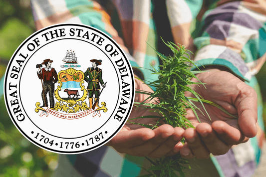 Delaware legaliza el cannabis para adultos