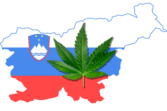 Opositores al cannabis en Eslovenia