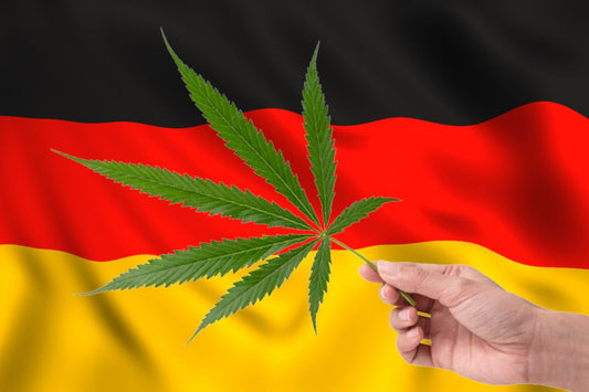 Hoja de cannabis delante de la bandera alemana