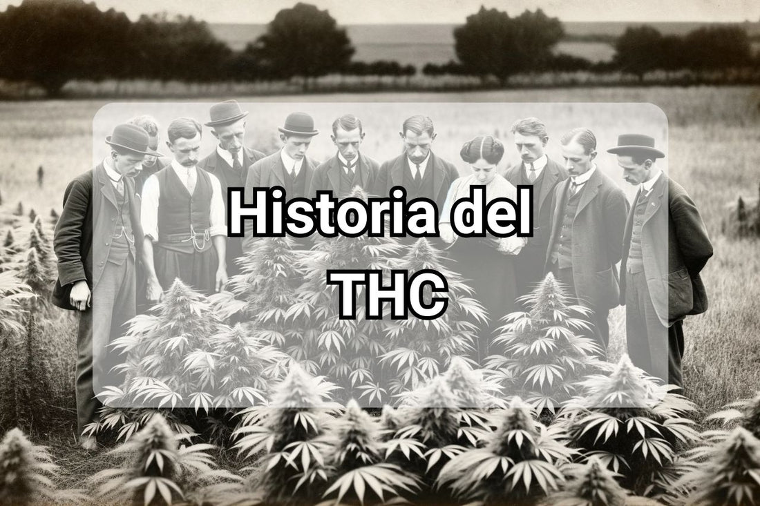 La historia del THC