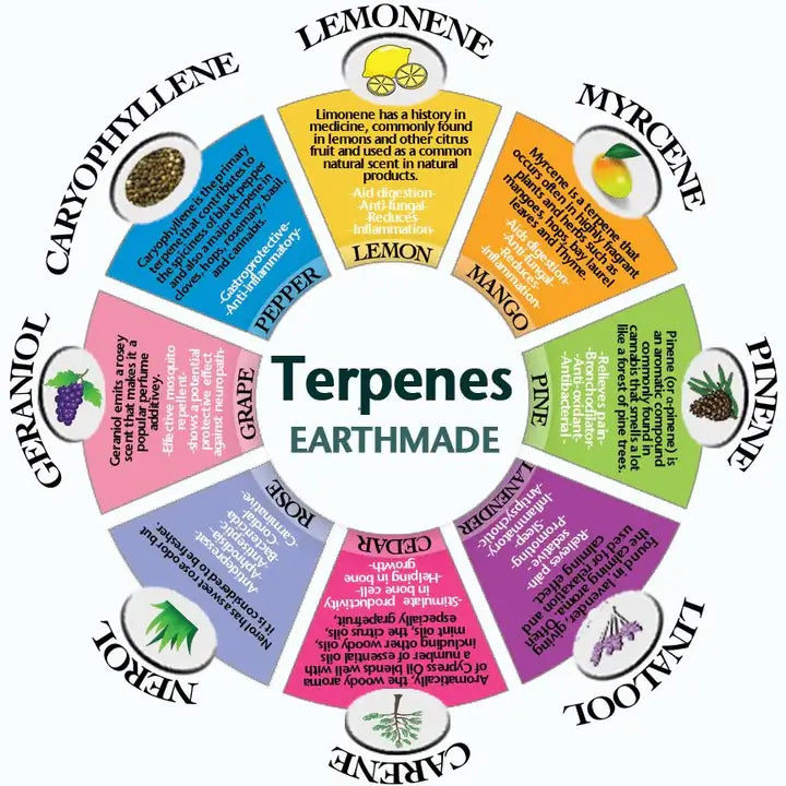 ¿Qué son los terpenos?