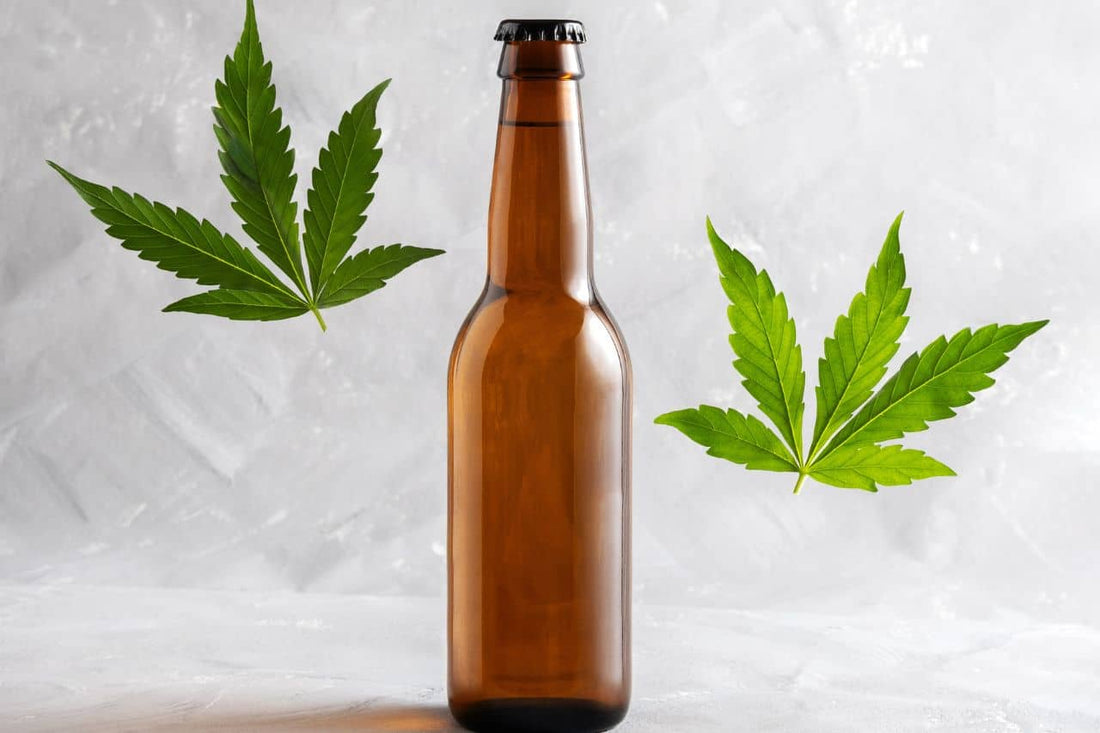 hojas de cannabis y una botella de cerveza