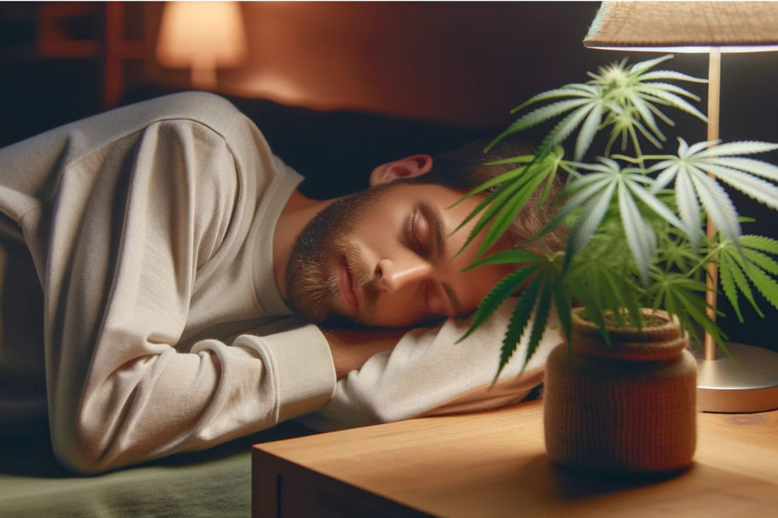 Hombre dormido con una planta de cannabis a su lado