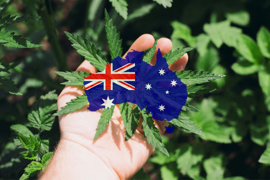 El cannabis en Australia