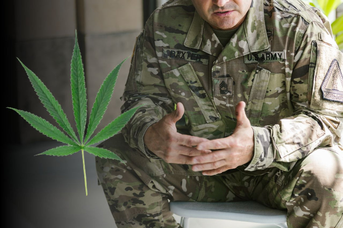 El cannabis mejora la vida de los veteranos