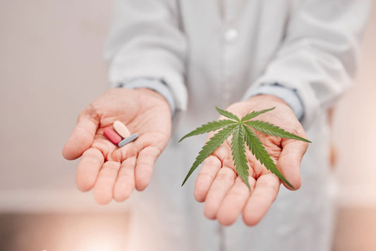 El cannabis podría reducir la ansiedad por los opiáceos