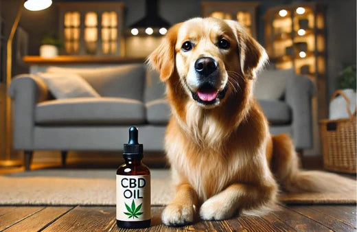 Perro y una botella de aceite de CBD