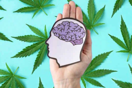 Ilustración de un cerebro con hojas de cannabis en el fondo