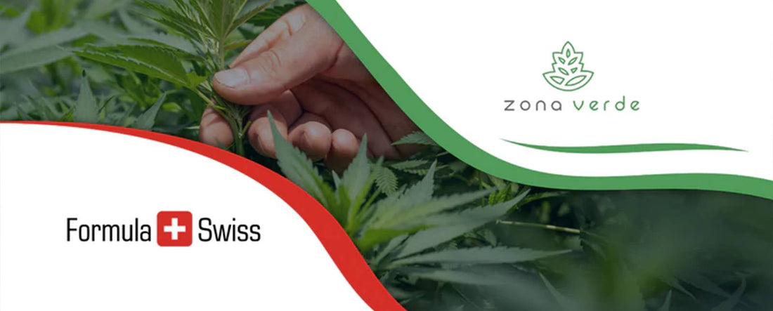 Formula Swiss se asocia con el principal minorista de cannabis de Rumanía