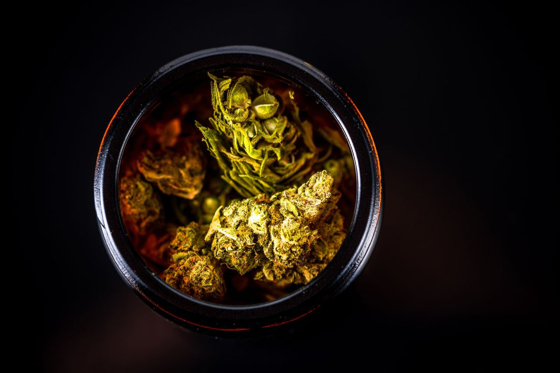 Un tarro lleno de flores y cogollos de cannabis