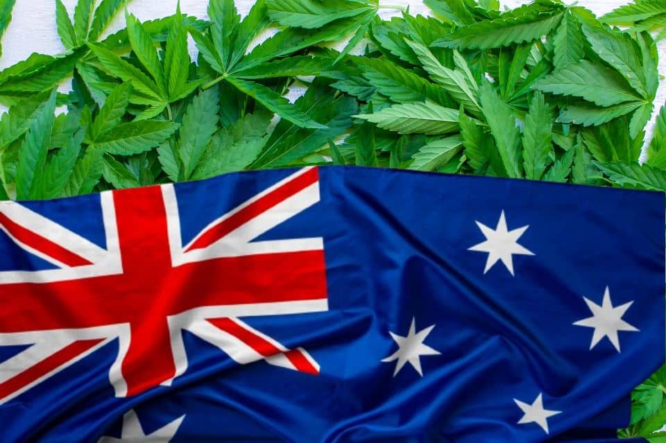 Hojas de cannabis y bandera de Australia