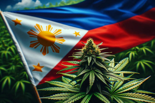 Planta de cannabis y bandera de Filipinas
