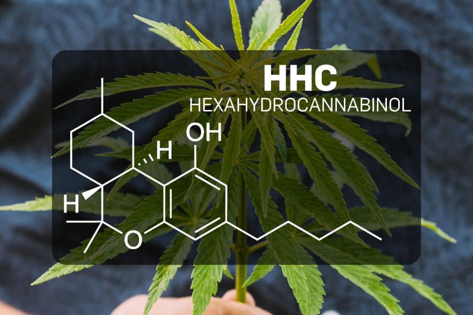 Estructura química del HHC (hexahidrocannabinol)