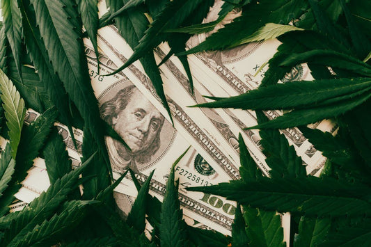 El dólar y las hojas de cannabis