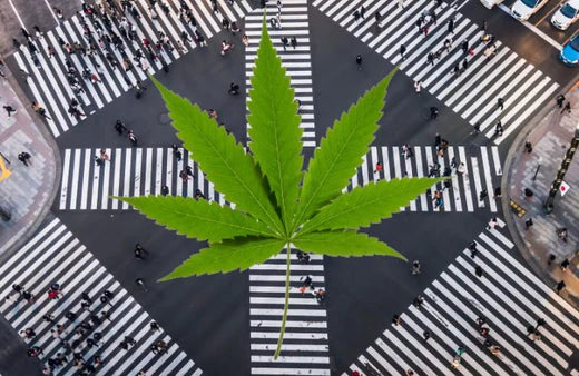 Ginza, Tokio. y una hoja de cannabis