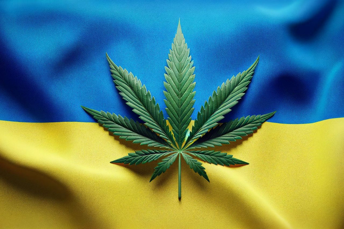 Bandera ucraniana y hoja de cannabis