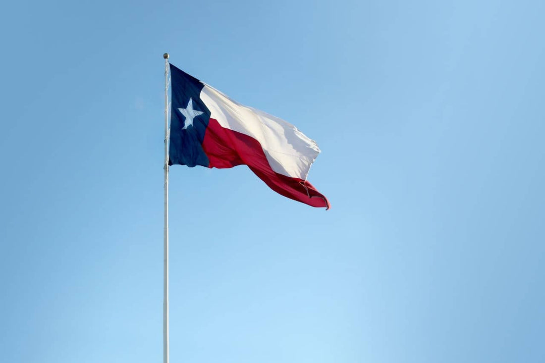 Bandera de Texas ondeando