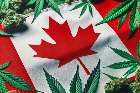 Bandera canadiense y hojas de cannabis