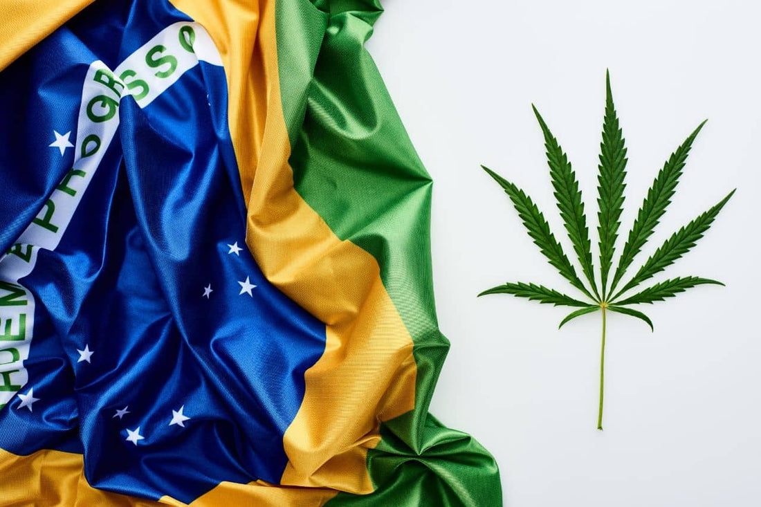 Bandera de Brasil y hoja de cannabis