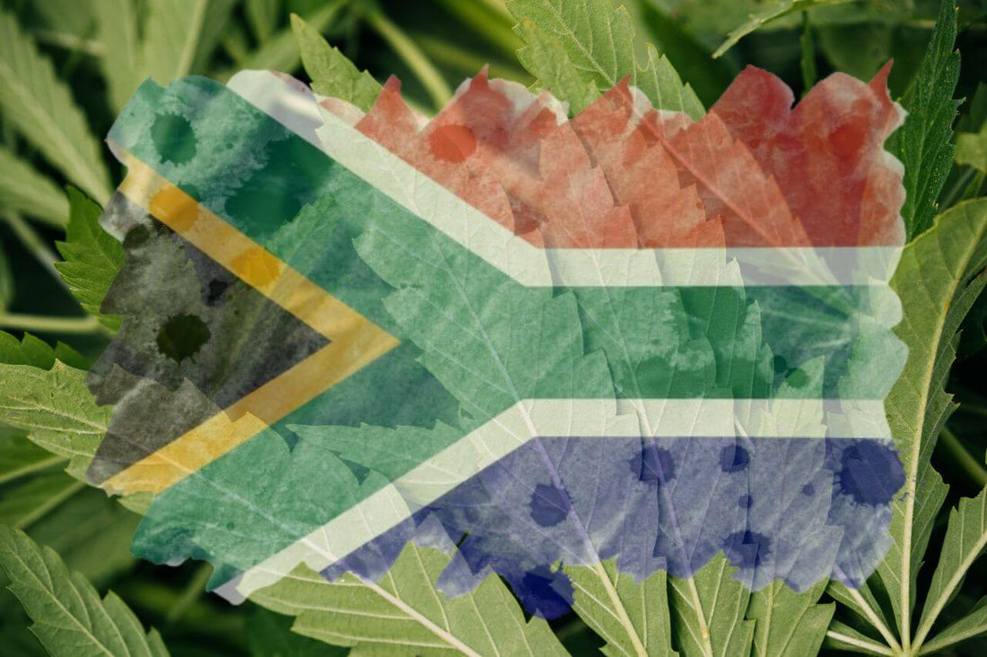 Bandera africana y hoja de cannabis 