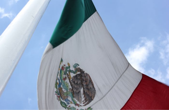 Ondeando la bandera de México