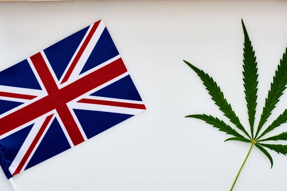 hoja de cannabis y bandera del Reino Unido