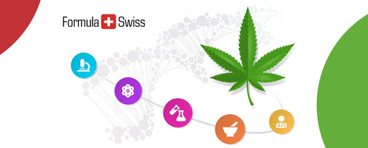 Comunicado de prensa: Investigadores holandeses se asocian con una compañía suiza de cannabis para investigar alternativas seguras y naturales para resolver los problemas de sueño