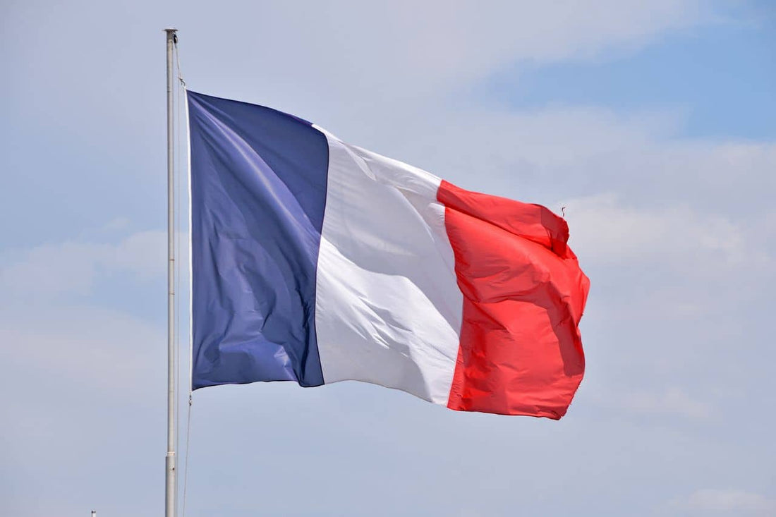 Bandera de Francia ondeando